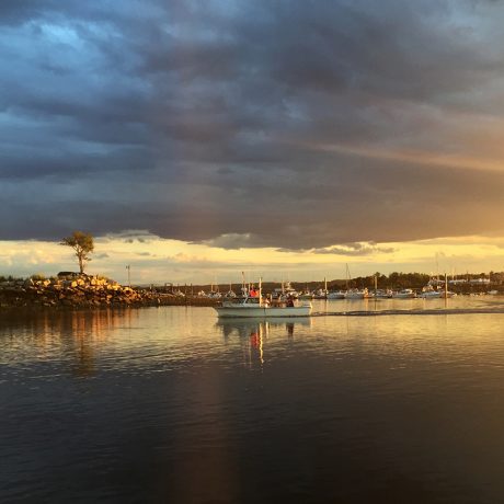 boat on harbor