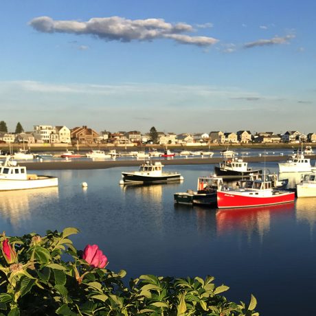 lobster boats